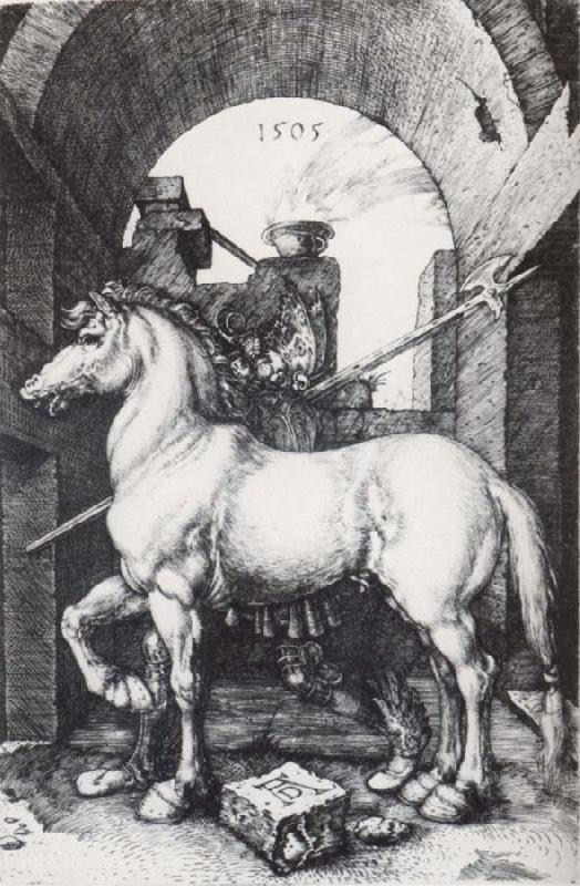 The Small Horse, Albrecht Durer